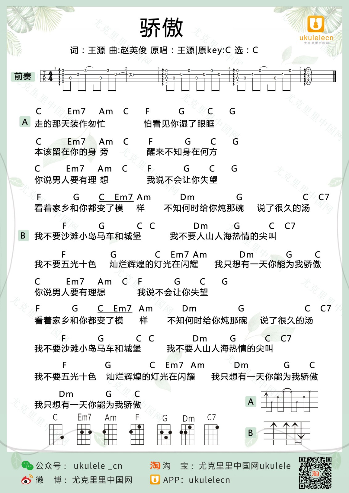王源的《骄傲》谱子吉他谱 - 国语版六线谱 - 初级版 - 吉他简谱