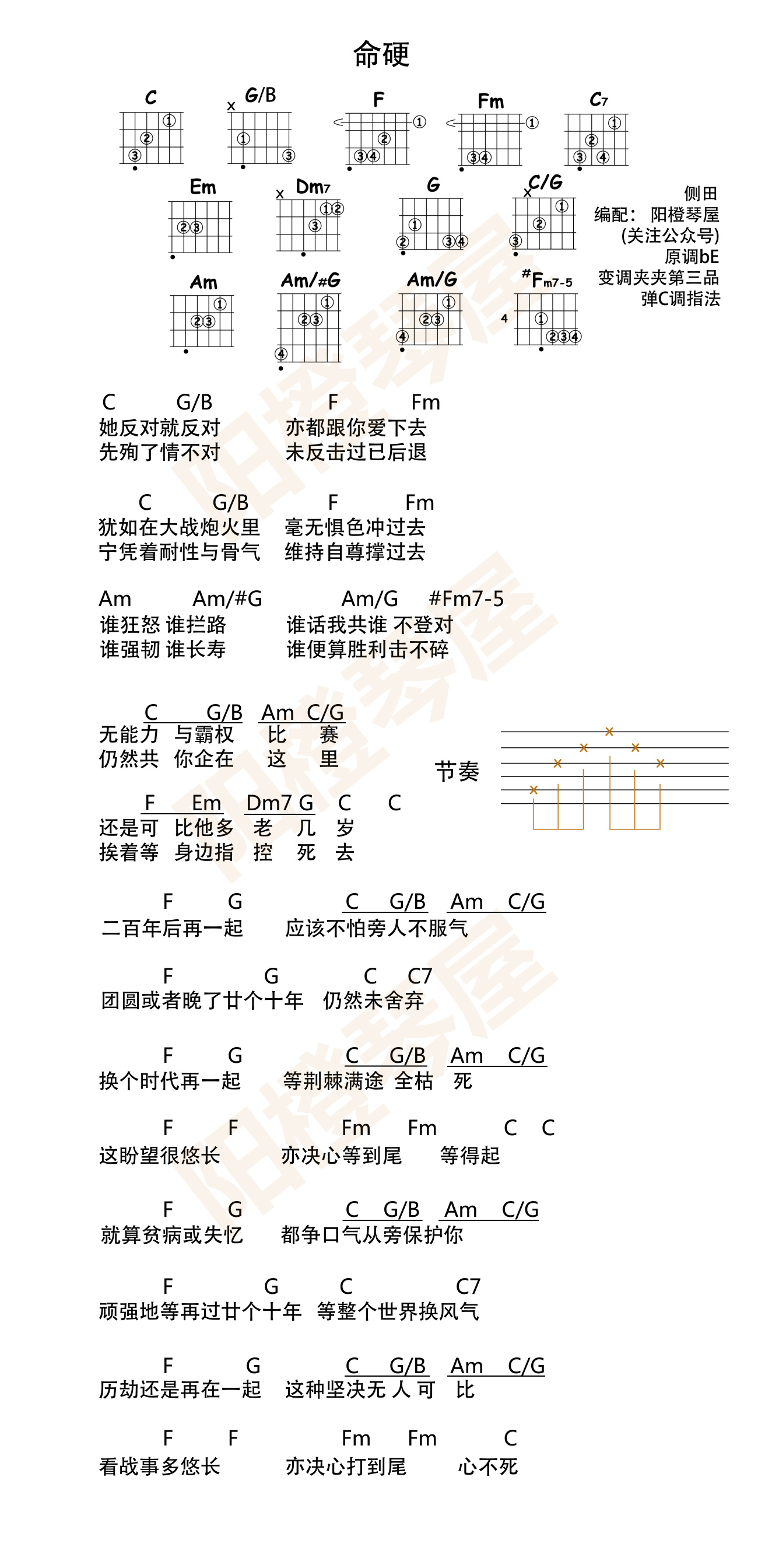 金润吉的《野鸟》谱子吉他谱 - 国语版六线谱 - 初级版 - 吉他简谱